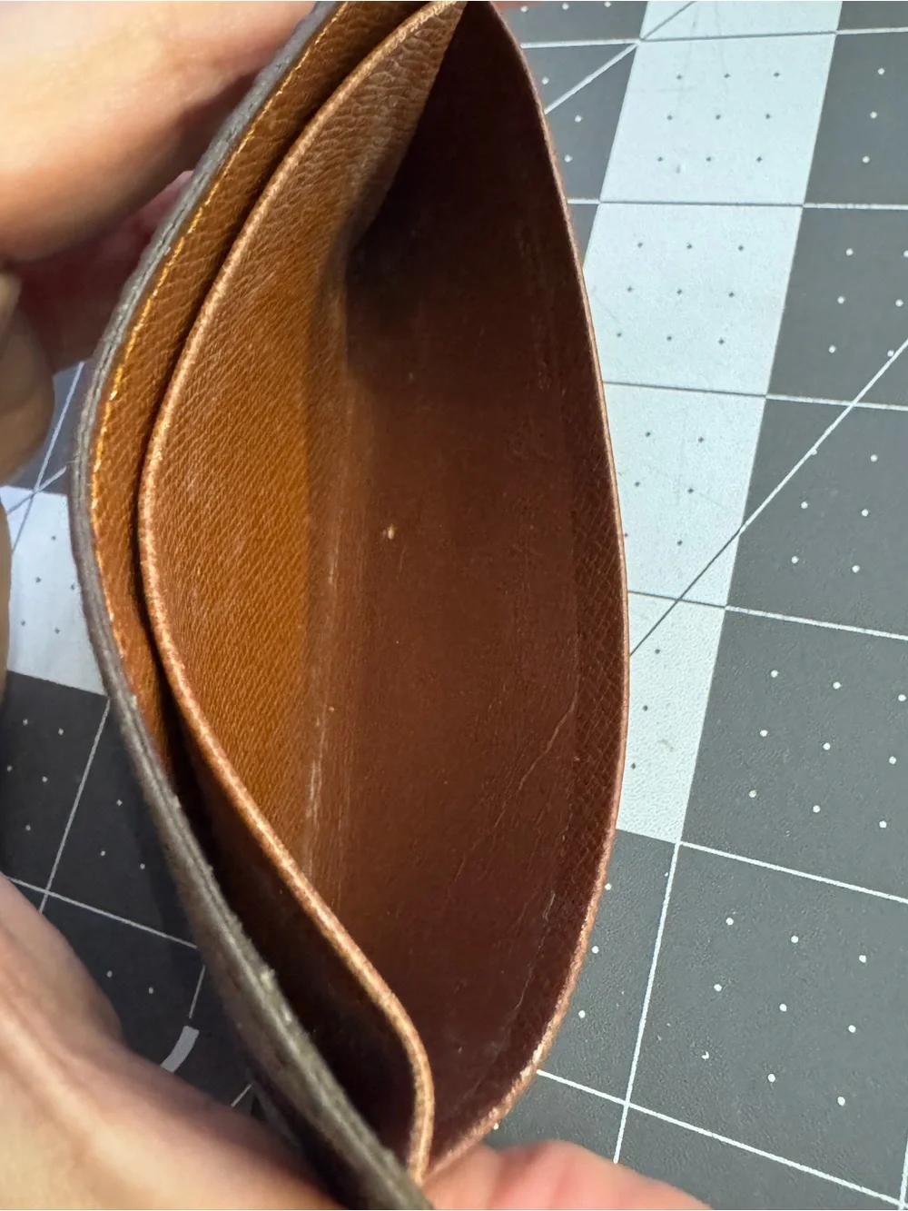 Louis Vuitton Monogram Canvas Small Accessory in Brown and Gold